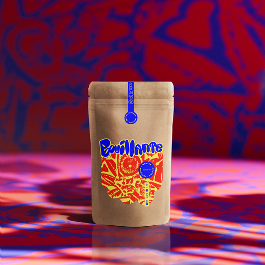 Pack Découverte - Bouillante